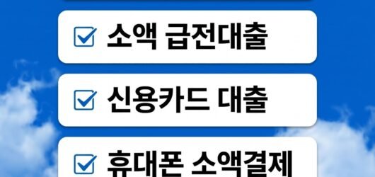 베트남급전대출 안전하게 이용하는 방법 (총정리)